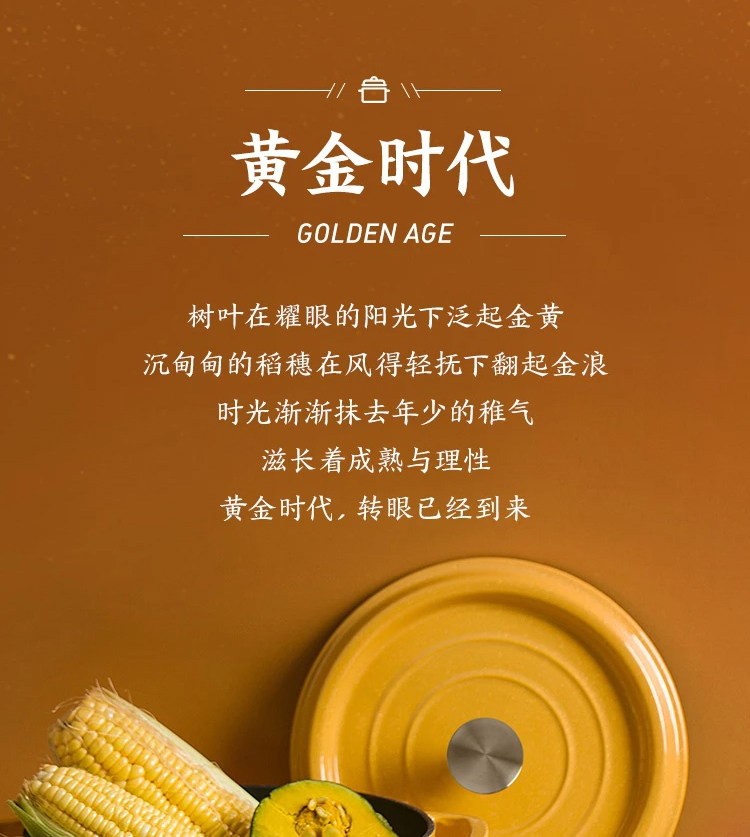 网易严选 100年传世珐琅锅 炖锅铸铁锅搪瓷锅煲汤锅 花形锅钮 珠光黄 22cm