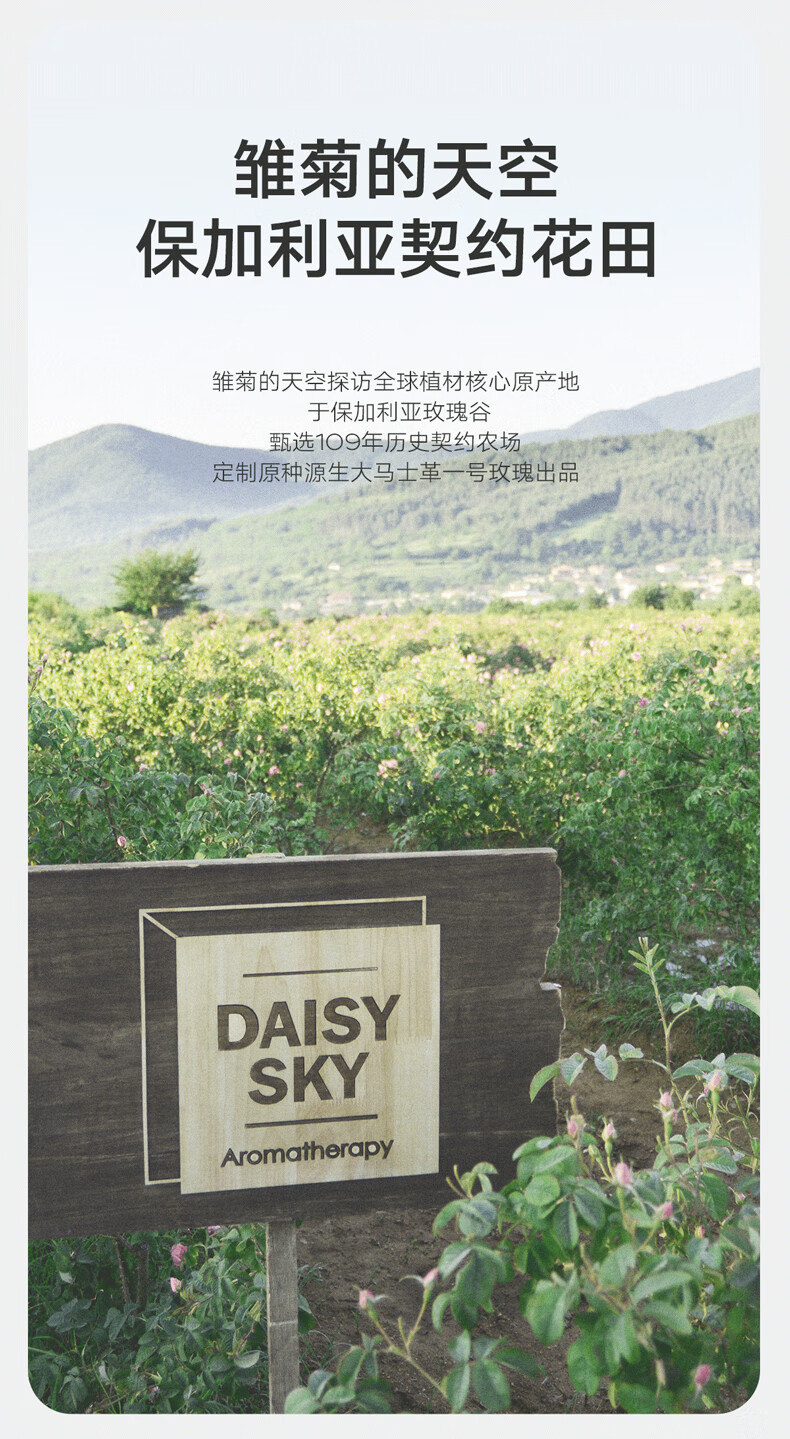 雏菊的天空大马士革玫瑰纯露补水喷雾爽肤水湿敷水脸部护理补水318ml礼物