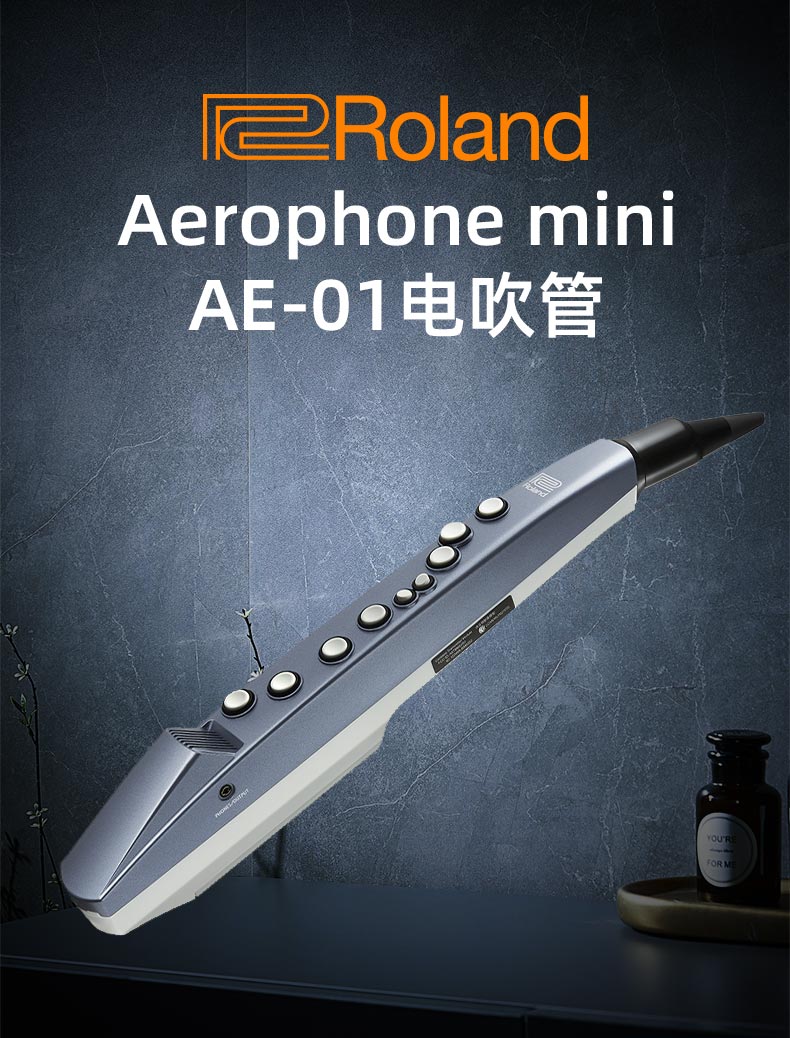 电吹管ae10电子吹管自带音源扬声器ae10电萨克斯 sax电子管乐定制款