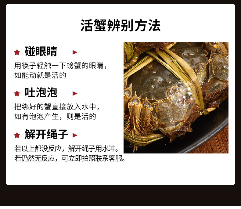 【活蟹】鱻谣兴化大闸蟹鲜活全母2.8-3.1两8只装现货生鲜螃蟹国产礼盒