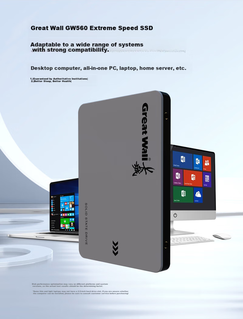 SSD-накопитель Great Wall GW560 Series 128 ГБ SATA III