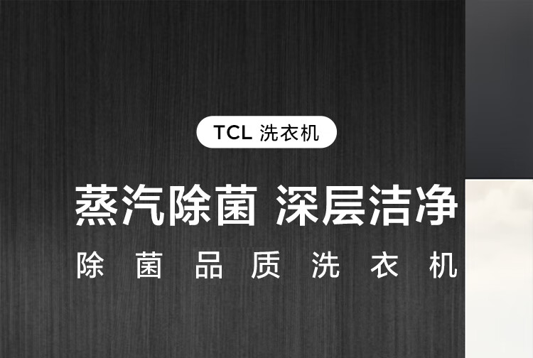 TCL-G-100L100-B1洗衣机图片