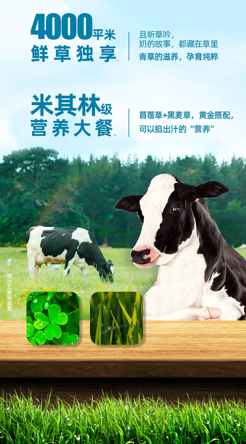 新西兰进口牛奶纽仕兰3.5g蛋白质牧场草饲高钙礼盒全脂纯牛奶乳品 250ml*24 整箱装