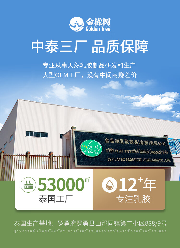 金橡树泰舒平面款怎么样？内幕使用评测揭秘