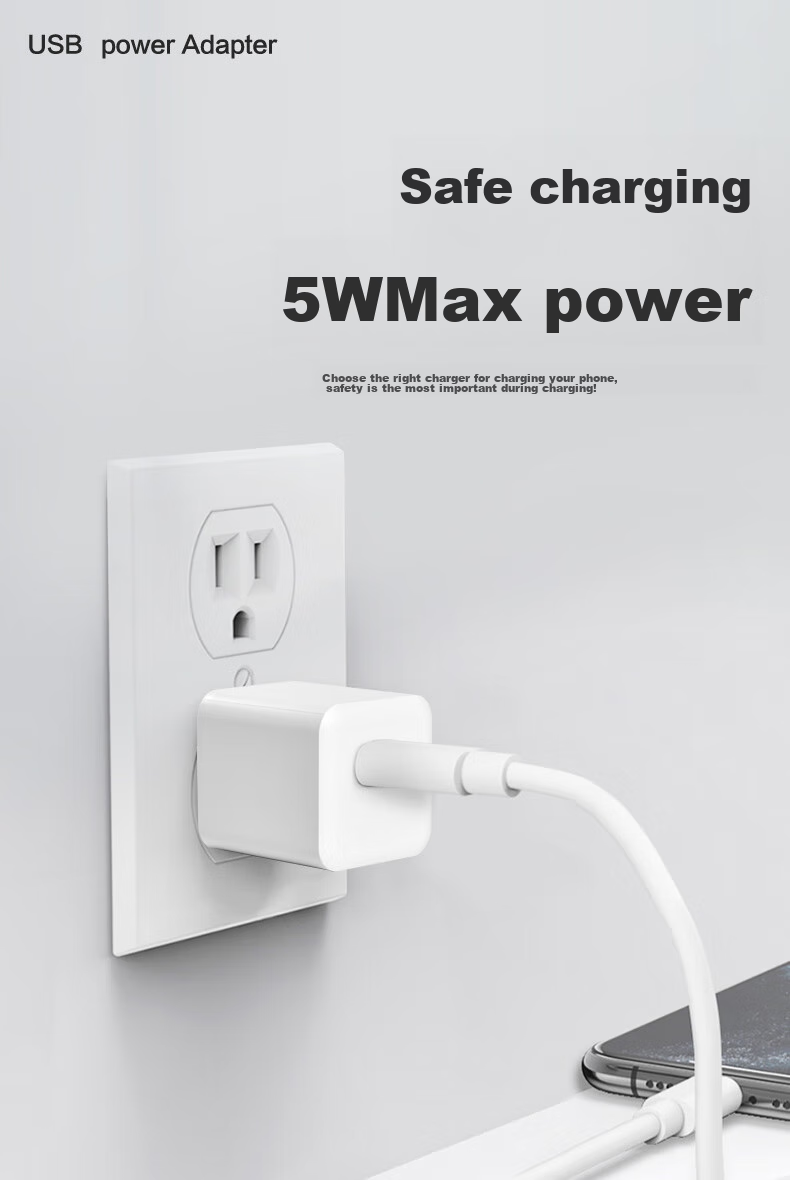 Зарядное устройство CangHua CH20, USB, 5V 1A, 5W, белый, универсальное