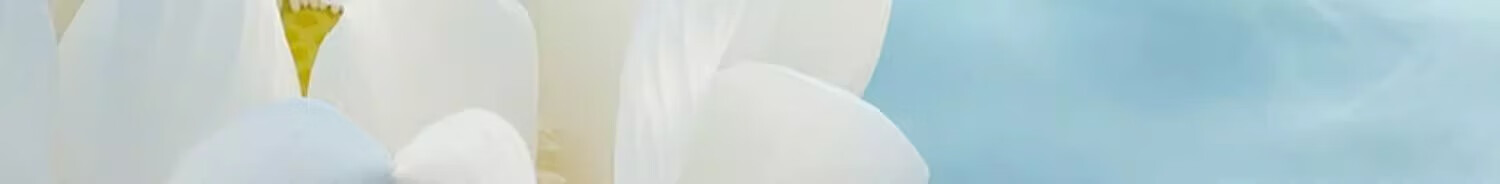 花西子玉养气垫N25 13g 混油皮遮瑕粉底液bb霜【含两个替换芯】