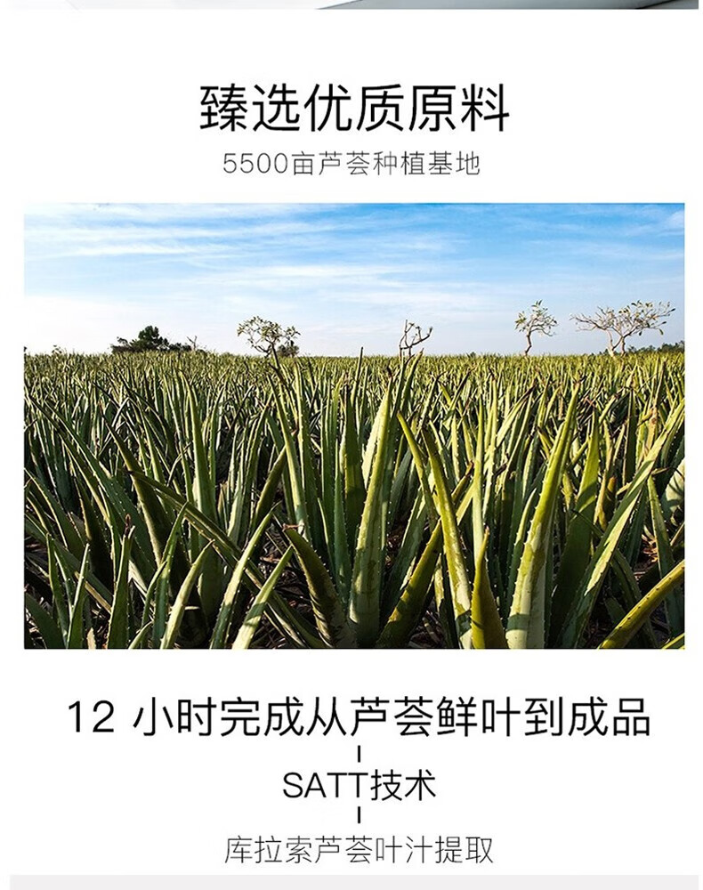 同仁堂舒缓修护晒后肌肤改善肌肤水油平衡 补水保湿芦荟胶50g男女