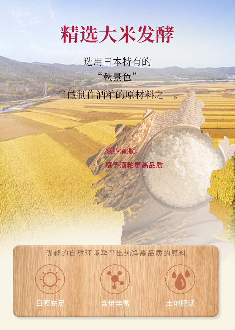 LUERLING日本酒粕酵母清洁保湿补水范女面膜涂抹式酒糟酒粕面膜 170g