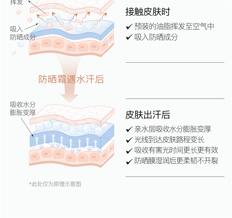 柳丝木（Ositree）防晒霜乳露spf50+pa+++面部清爽水润女户外 蓝U盾50g+绿U盾50g