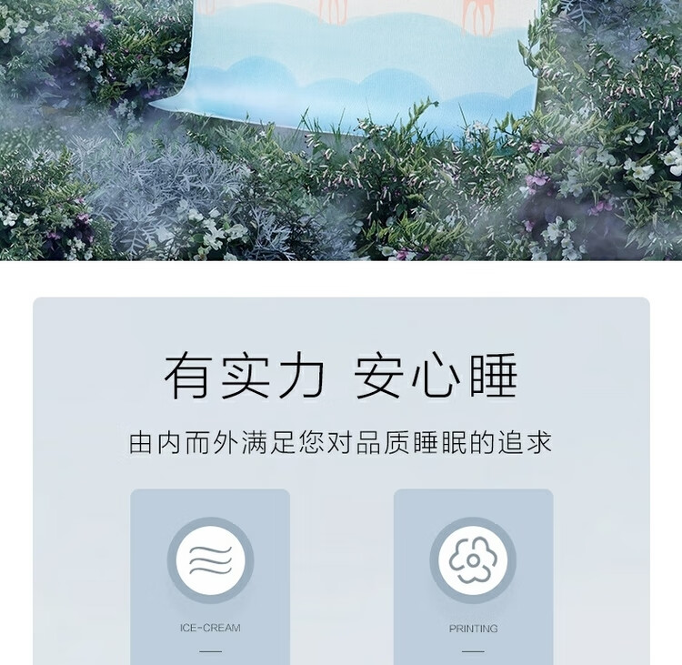 百丽丝 冰丝席 抗菌防螨印花冰丝席 可折叠凉席2件套