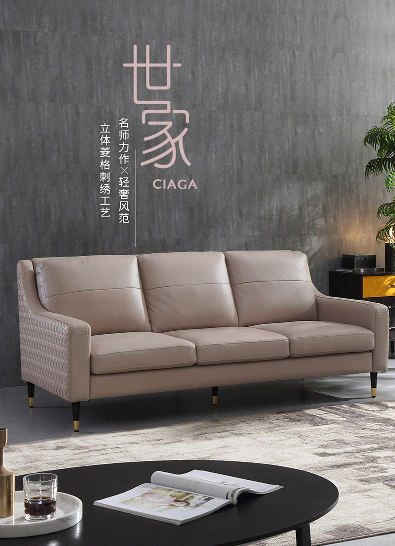 左右沙发 北欧真皮沙发小户型简约客厅整装家具组合皮沙发DZY5031 三人位（轻奢紫C1017） 长度2.05米左右（30-60天左右发货）