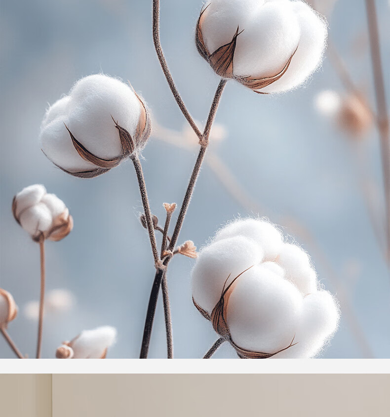 Комплект постельного белья HLA Pure Cotton, 1.8м, синий