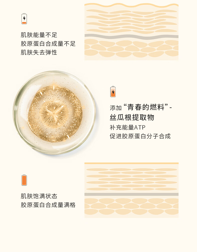934白池花精粹精华油小弹簧熬夜啵啵油修护滋润紧致圣诞礼物男女适用 【大干皮】焕颜精华油30ml