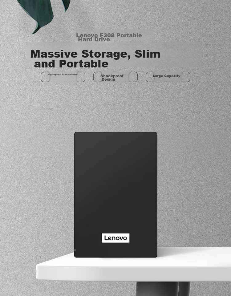 Портативный жесткий диск Lenovo F308, 2 ТБ, USB 3.0, 2.5 дюйма, черный