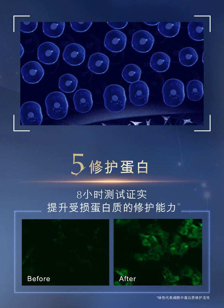 雅诗兰黛（Estee Lauder）小棕瓶30ml  精华液修护补水保湿淡化细纹 