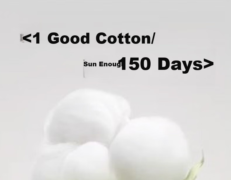 Пуховое одеяло Shui Xing Jia Fang Xinjiang Cotton, 100% хлопок, зимнее, размер "Double", примерно 6.2 Цзинь