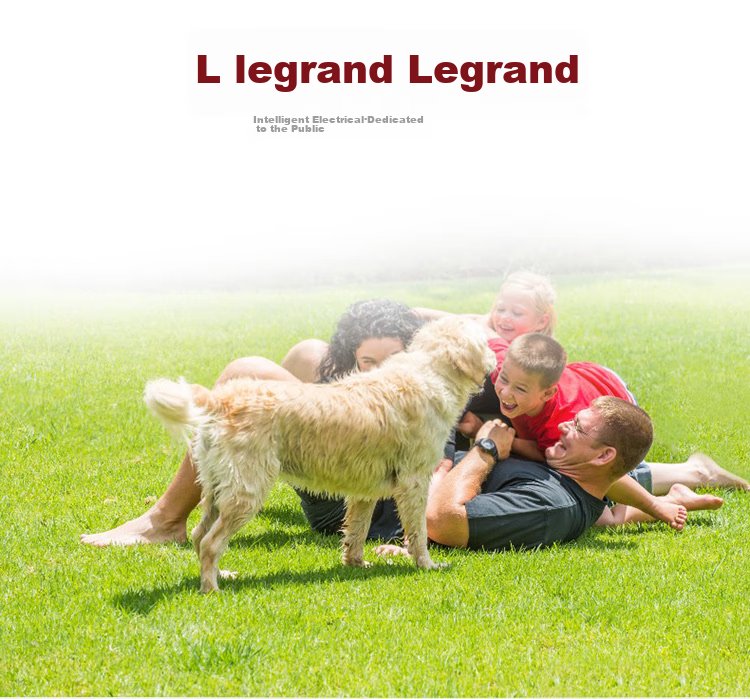 Розетка-выключатель LEGRAND Shidian Magnolia White, 86-типа, скрытого типа, двойной выключатель, одинарное управление
