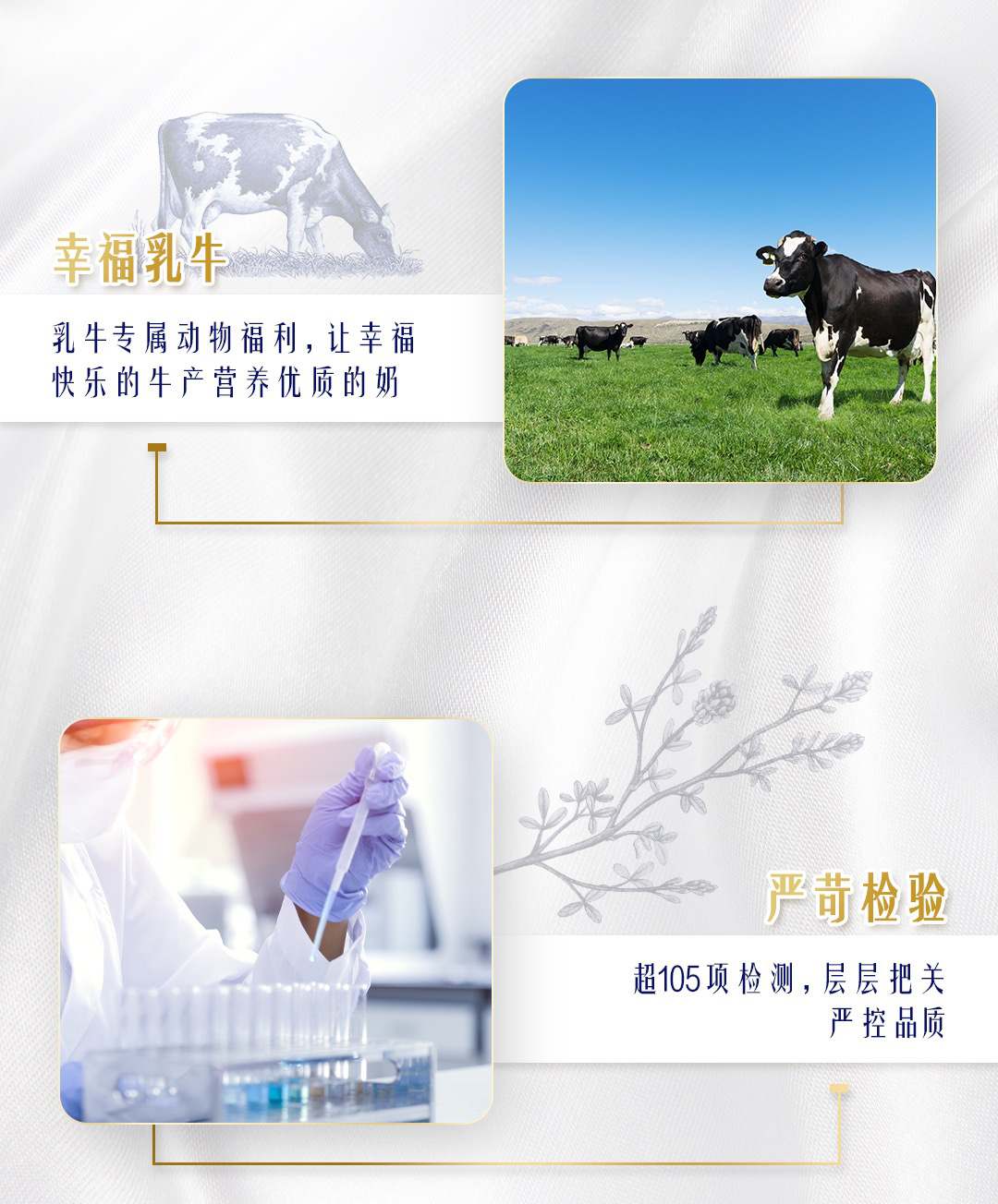 蒙牛 特仑苏 纯牛奶 全脂灭菌 250ml×12 （新老包装随机发货）礼盒装