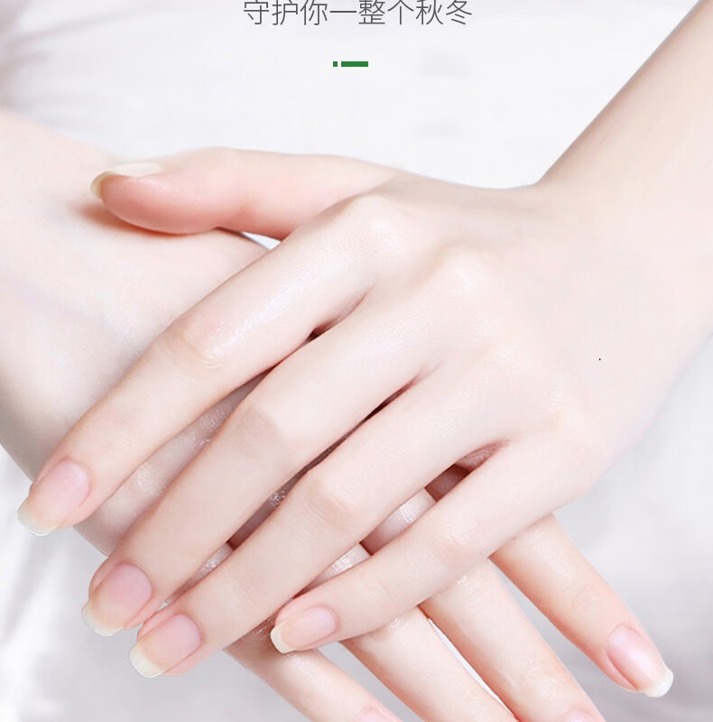 BAINHR洋甘菊护手霜女大瓶按压式防手部粗糙干燥倒刺手裂滋润男女500g