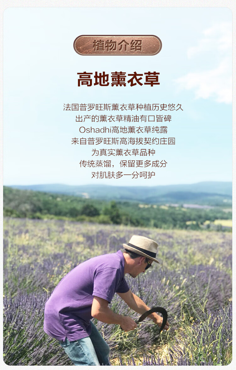 Oshadhi德国O家高地薰衣草纯露237ml补水痘痘肌湿敷水喷雾爽肤水花水