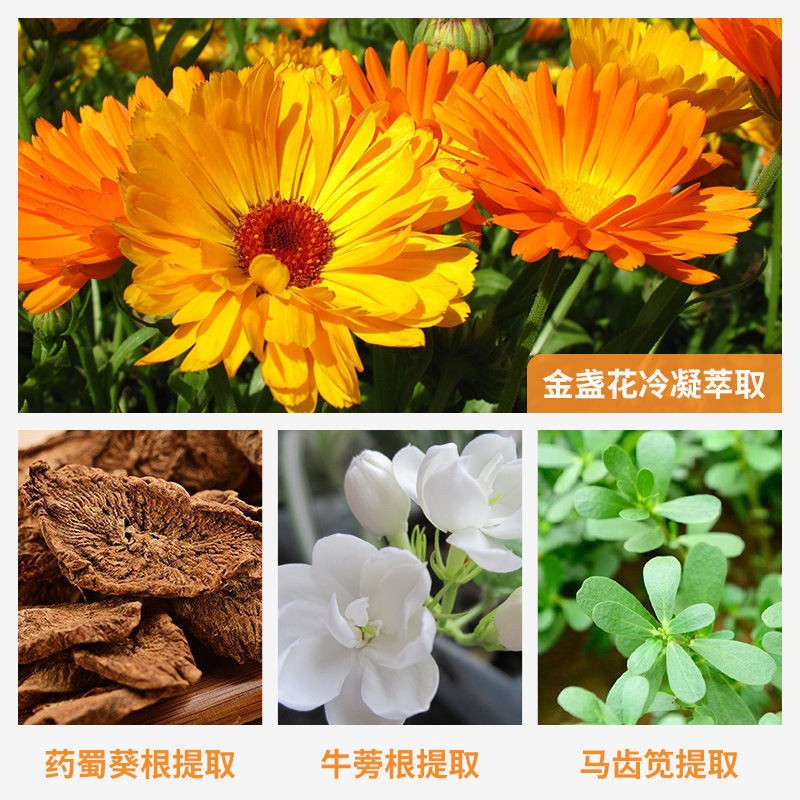 Binee金盏花植萃爽肤水控油收缩毛孔补水保湿调解水油平衡舒缓500ml