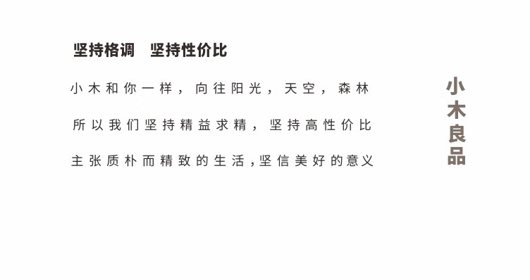 小木良品戴森吸尘器收纳架洞洞板dyson挂墙整理置物架 桦木色戴森组合 30*112cm
