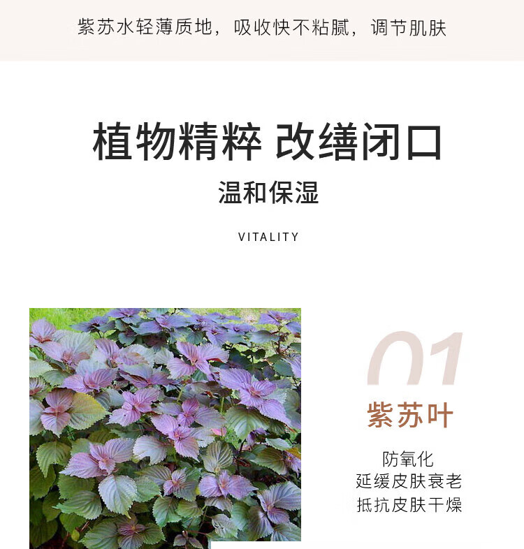 黛珂（COSME DECORTE）紫苏牛油果水乳套装 30ml