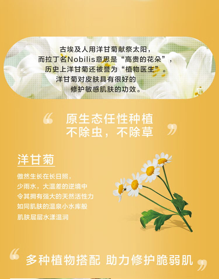 自然之名洋甘菊面膜舒缓补水保湿强韧易敏肌男女通用面膜20片 单盒装