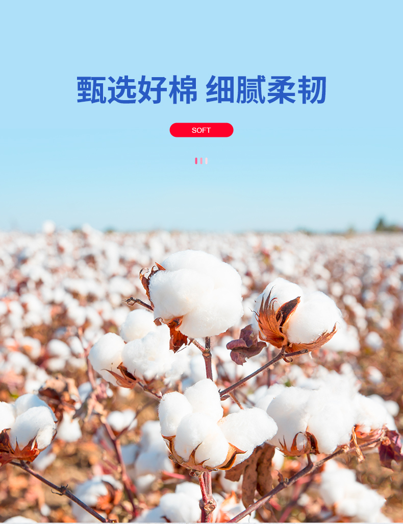 贝览得（beautyblend）一次性洗脸巾擦脸巾棉柔巾洁面巾 精装防尘加厚 40片/盒折叠式