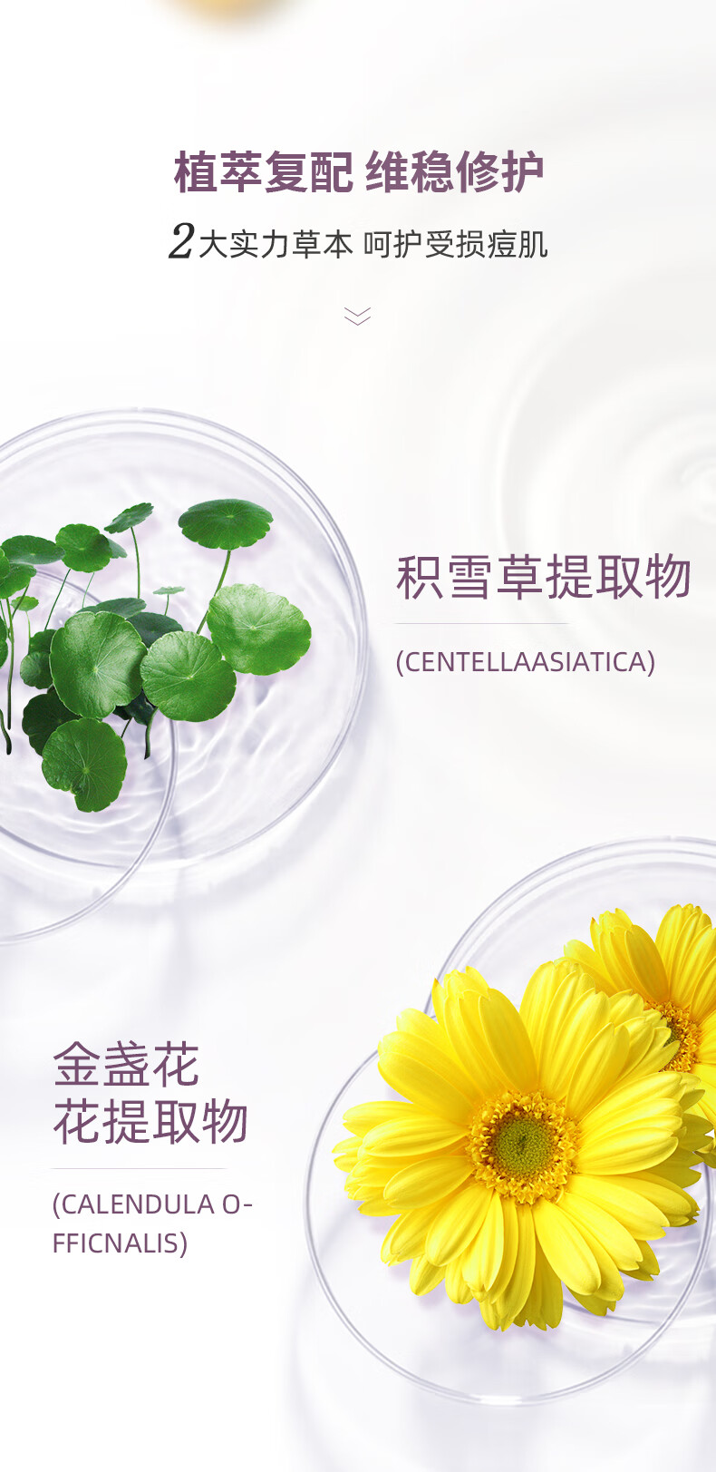 敷尔佳 清痘净肤修护贴祛痘面膜补水保湿维稳修护 四盒装
