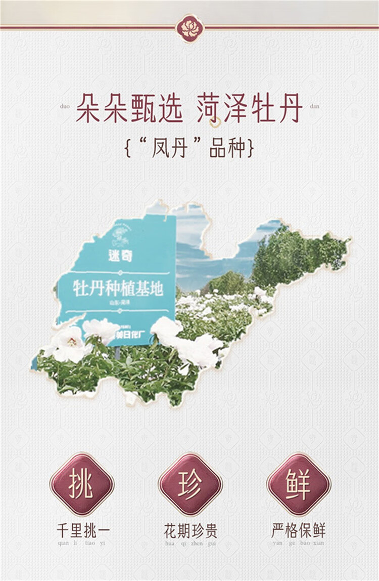 迷奇（甄嬛传)黄金六胜肽原液45ml保湿控油淡化法令纹面部复颜精华液