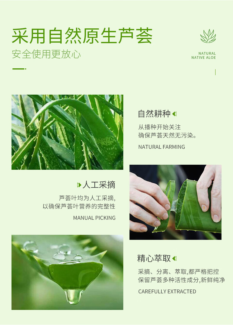 艾儿（AIER）芦荟胶补水保湿乳液面霜250g滋养改善干燥芦荟凝胶男女通用