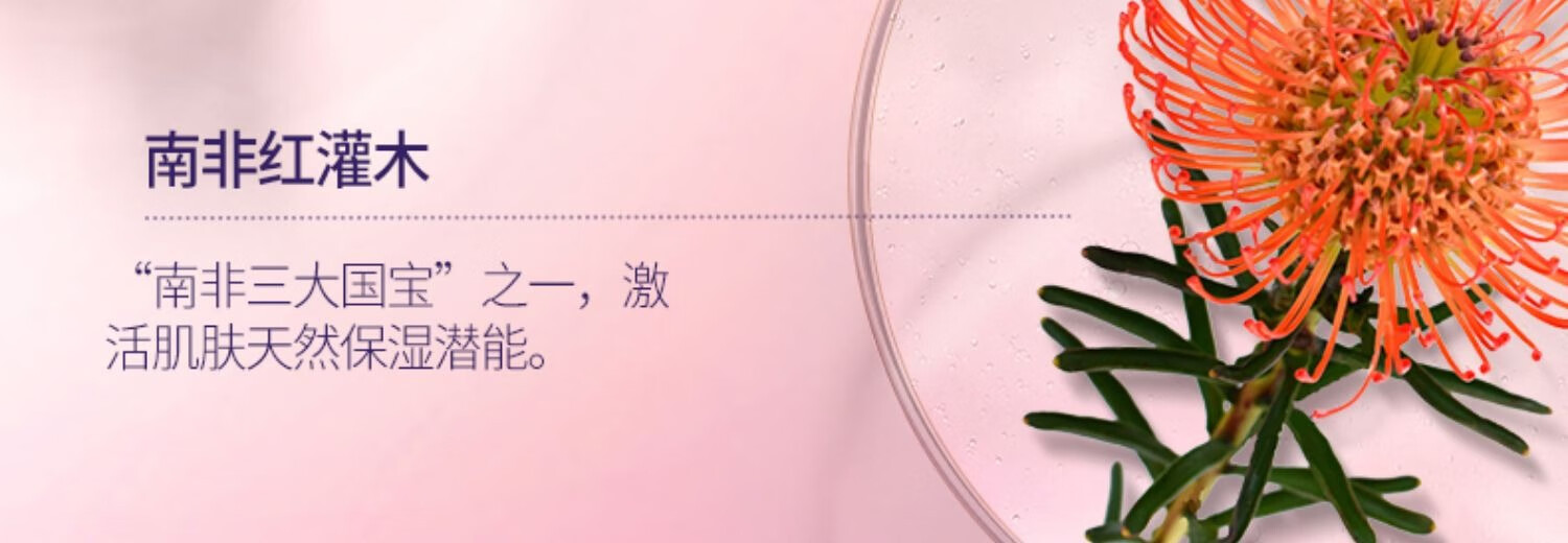 希芸（syrinx）水乳套装补水保湿细致毛孔提亮肤色温和滋润干油皮护肤品女礼盒 【大干皮力荐】水170ml+乳120ml