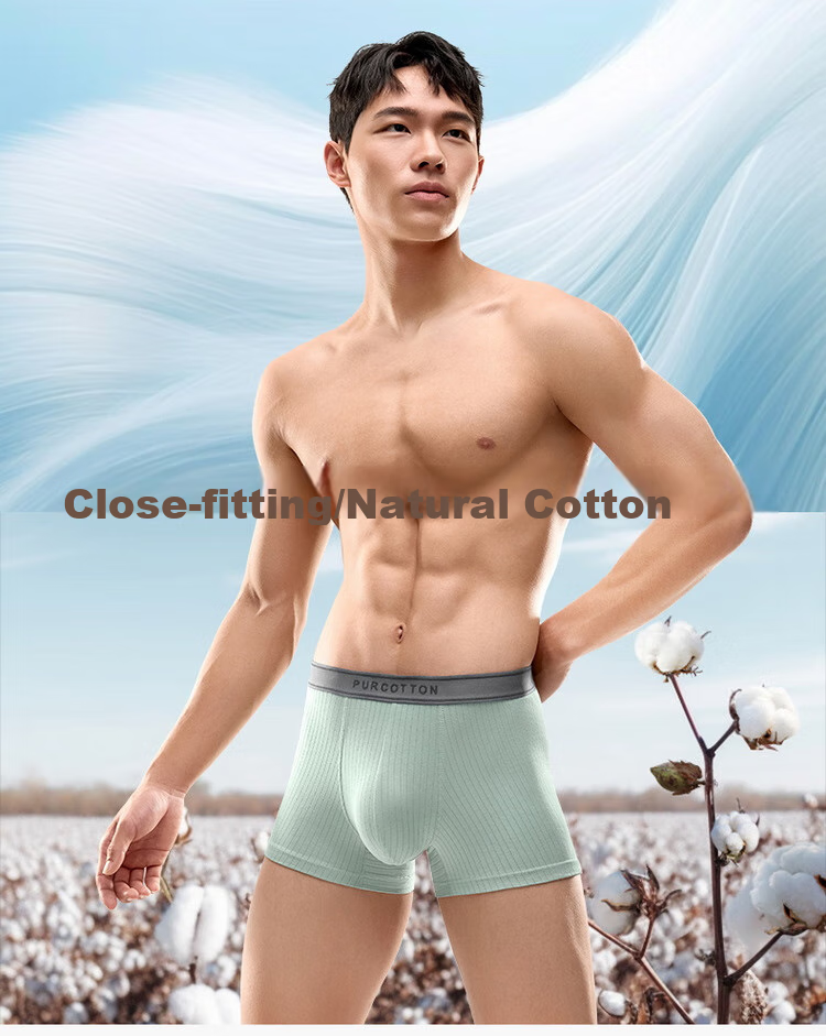 Мужские трусы PurCotton, 5A антибактериальные, дышащие, 95% хлопок, боксеры с высокой эластичностью, сохраняющие форму, отводящие пот
