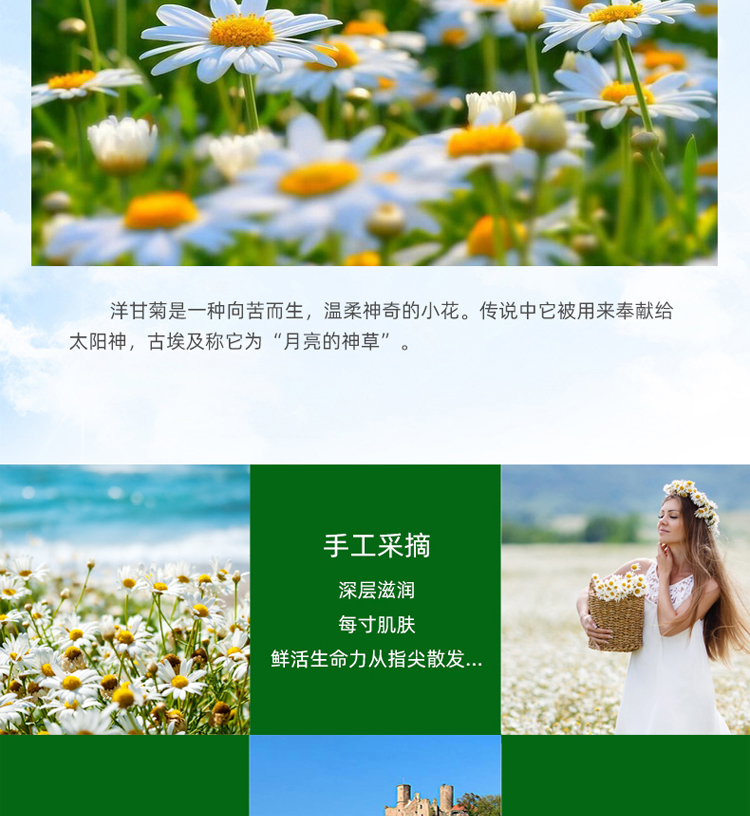 贺本清（Herbacin）德国小甘菊经典护手霜 20ml圆罐（滋润补水保湿  预防干裂 便携装）礼物 伴手礼