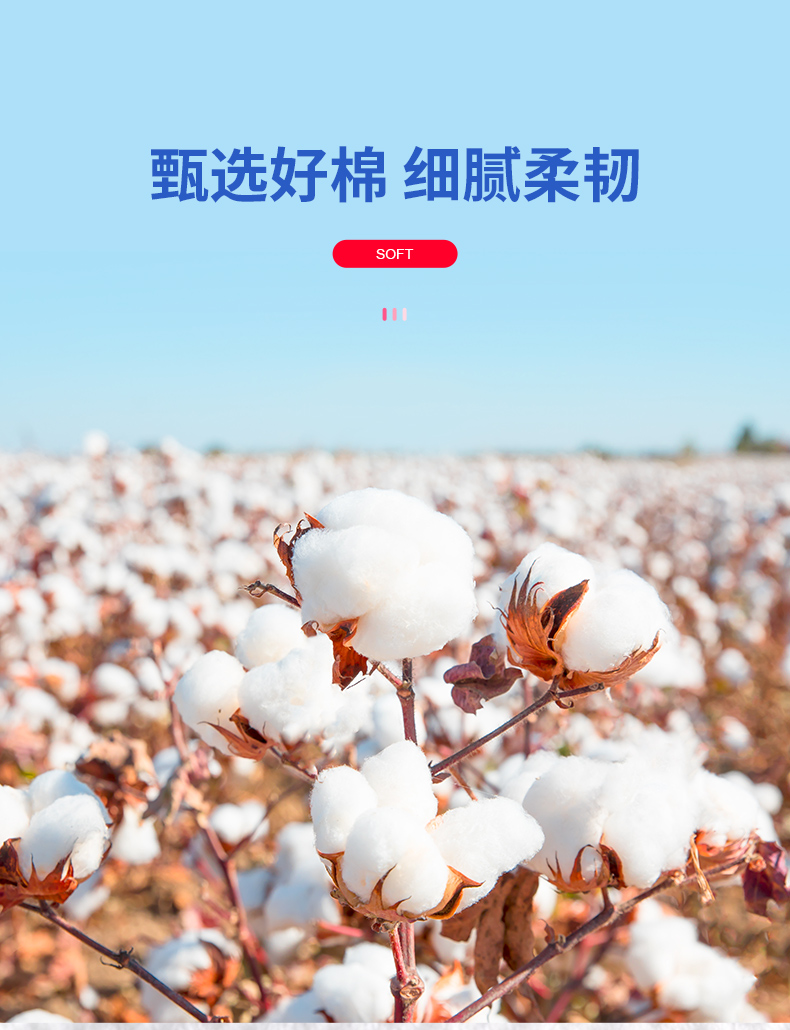 贝览得（beautyblend）一次性洗脸巾擦脸巾洁面巾洗面巾棉柔巾家用美容院加厚珍珠纹60片