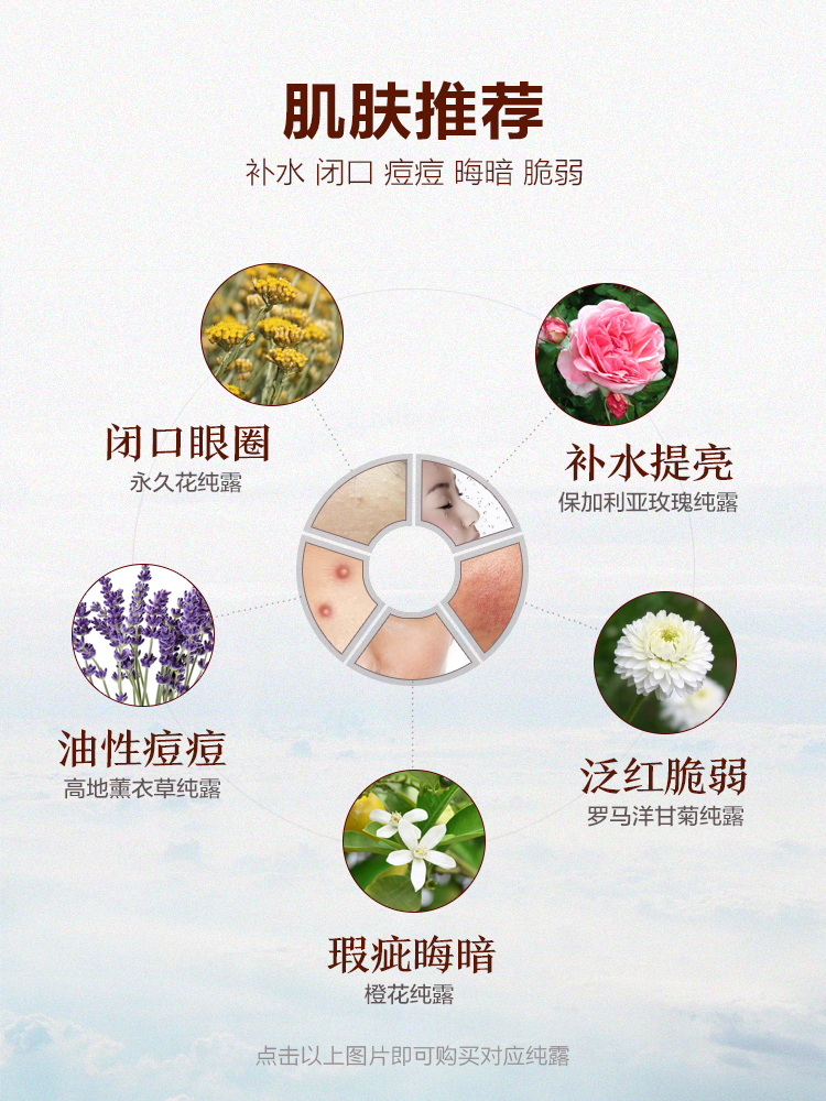 Oshadhi德国O家蜡菊永久花纯露237ml闭口粉刺爽肤水湿敷水花水护肤水补水