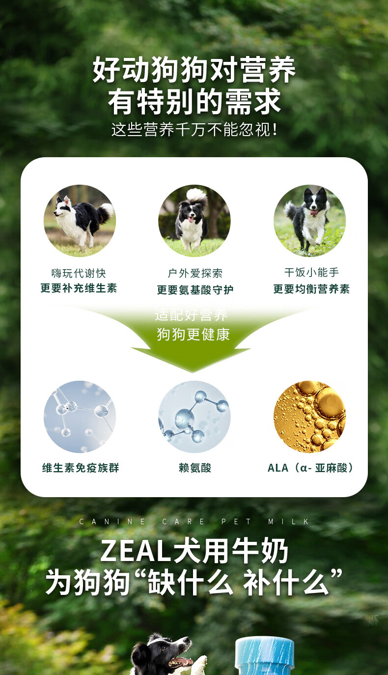 ZEAL真致新西兰进口 狗专用宠物牛奶380ml*6 0乳糖离乳期适用 狗零食