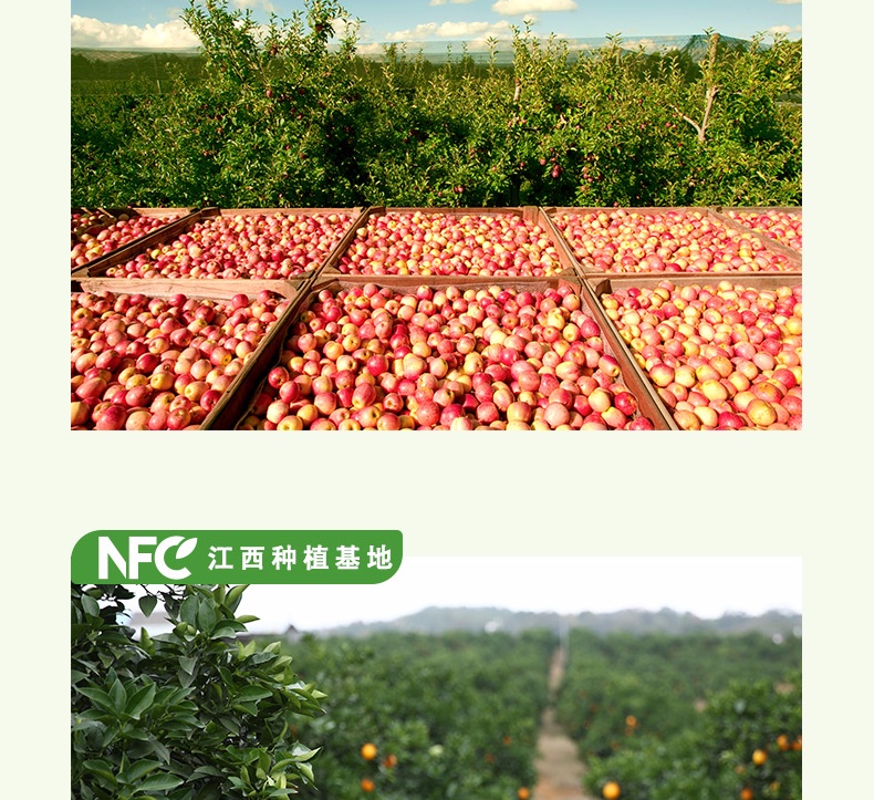 农夫山泉 NFC果汁（冷藏型）100%鲜榨苹果汁 300ml*4瓶