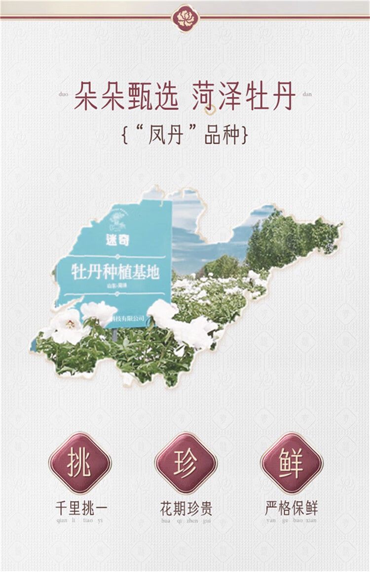 迷奇牡丹花瓣精华水250ml面部补水保湿平衡修护肌肤爽肤水经典国货