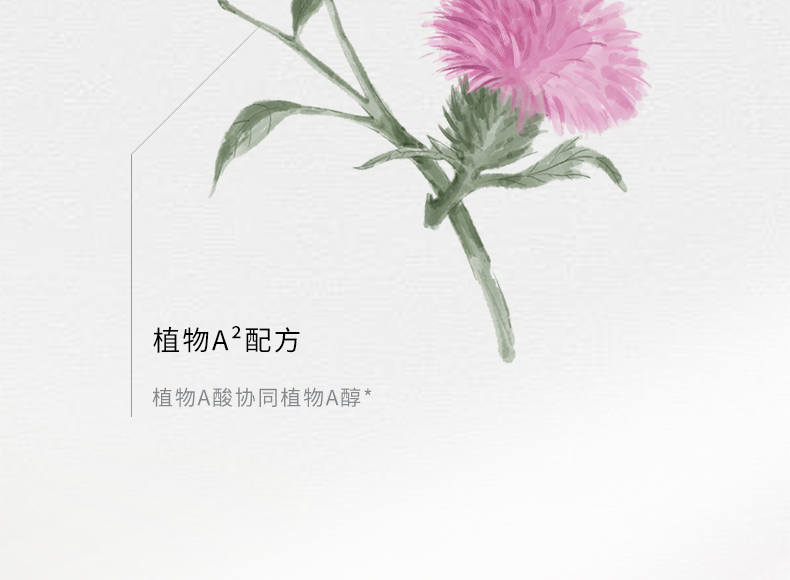 蘭（LAN）兰千层熬夜面霜 补水保湿熬夜救星唤醒肌肤50g 