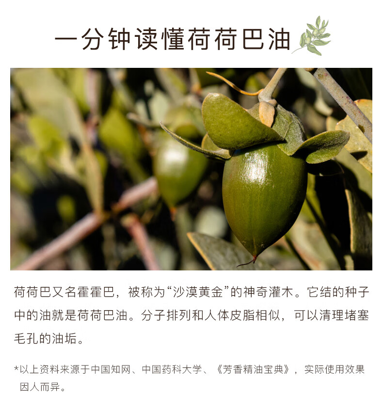 AA网（AA SKINCARE）荷荷巴油100ml（补水保湿 按摩精油 去黑头 卸妆油 护发油）