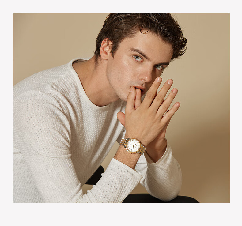 FIYTA Classic Series Automatic Mechanical Roman Numeral Dial Steel Strap Men's Wristwatch, Qixi Festival Gift