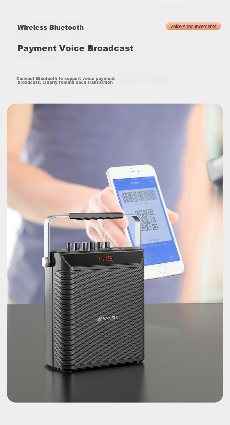 Портативная колонка SANSUI E76, 25 Вт, Bluetooth 5.0, с двумя беспроводными микрофонами, для караоке, вечеринок и выступлений
