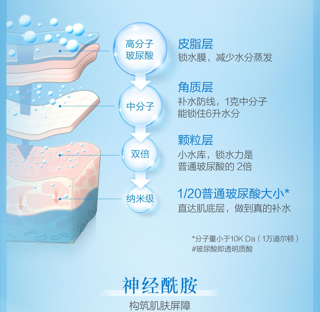 肌研极润精华素30ml 4重玻尿酸补水 神经酰胺保湿烟酰胺x维C