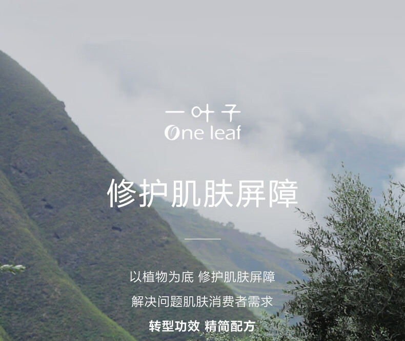 一叶子黄金面膜10片+B5面膜10片 修护修色褪红淡纹救急面膜