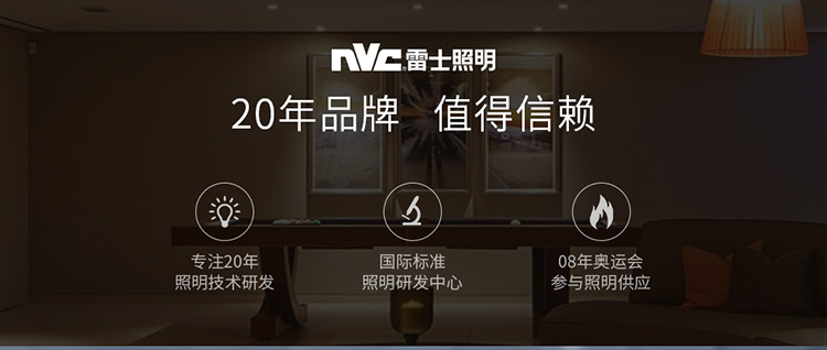 雷士照明(NVC)LED灯泡柱泡节能灯 E27大螺口家用商用大功率光源 24瓦白光球泡
