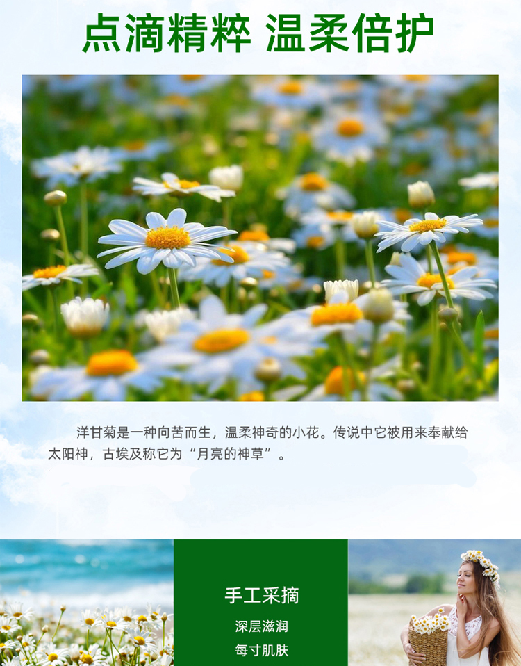 HERBACIN德国小甘菊清爽护手霜20ml  嫩滑补水 便携装 送礼母亲节礼物