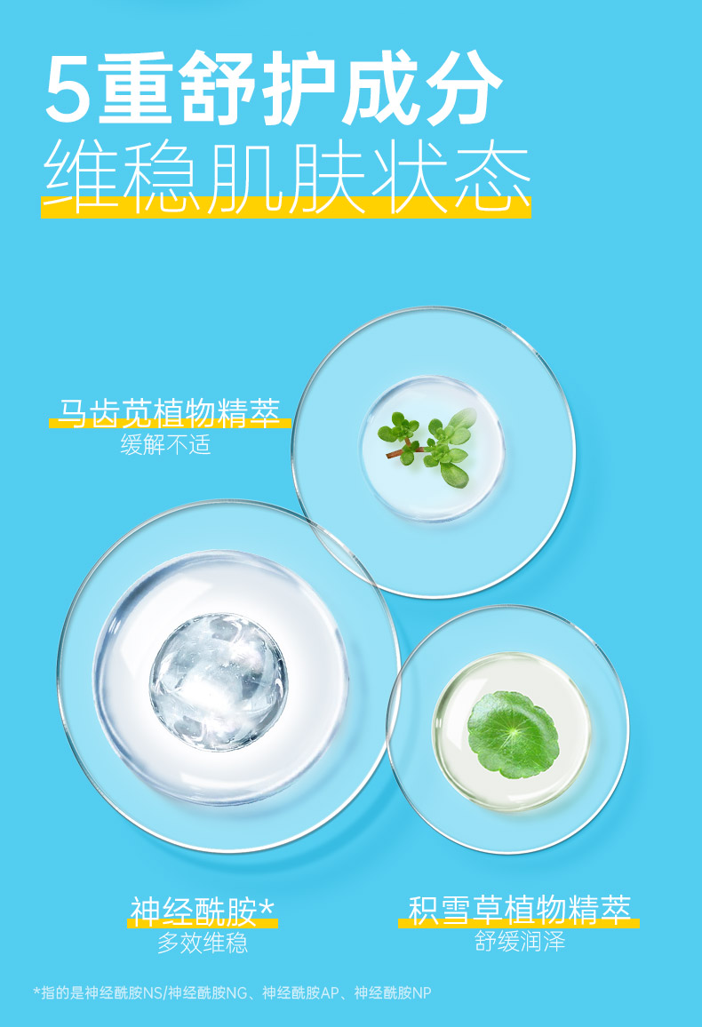C咖山茶花解渴面膜1罐 睡眠面膜补水保湿面膜女男涂抹式小罐膜