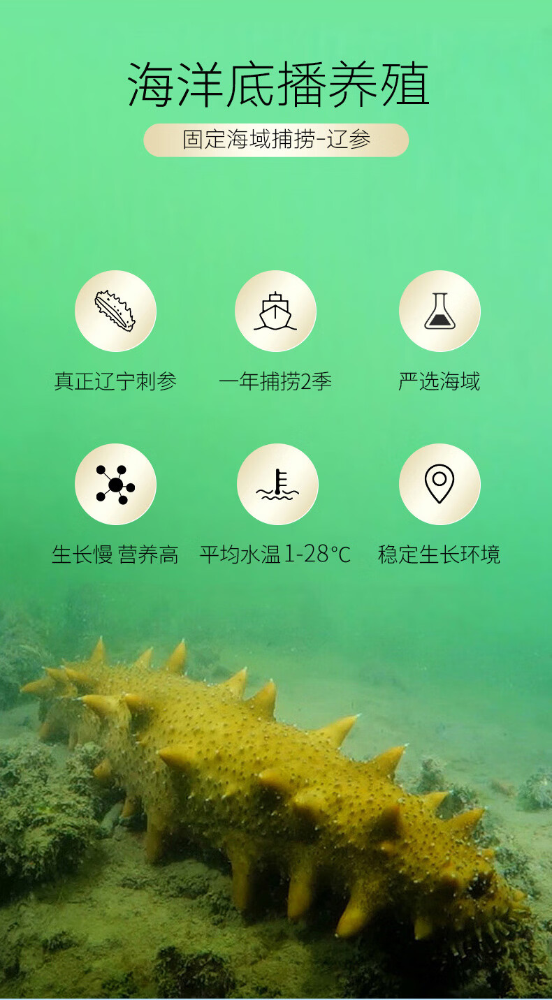 商品详情图